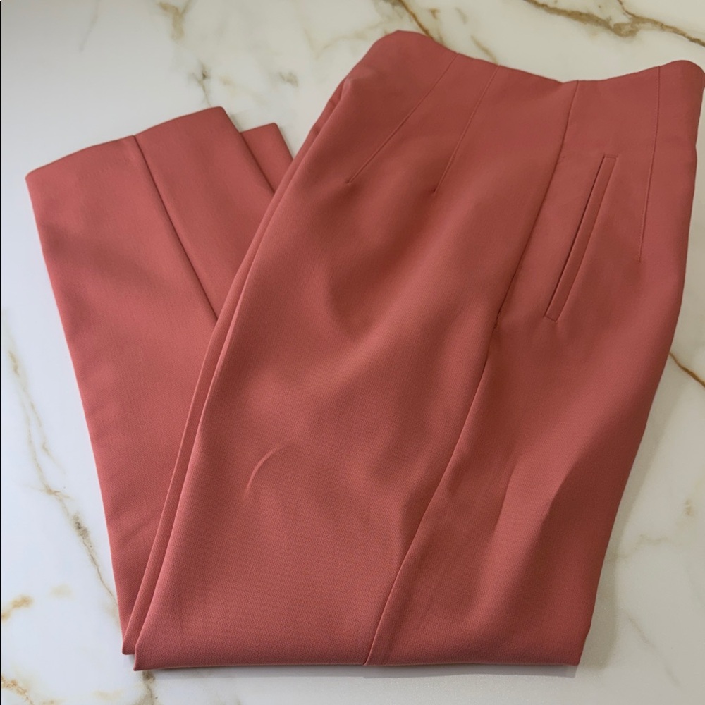 Zara Salmon Pink Pants